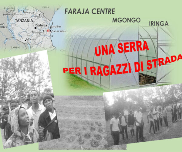 Progetto Serra-Faraja – 06-23